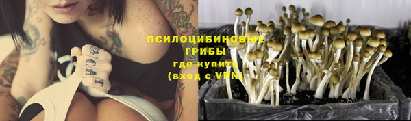 PSILOCYBIN Бородино